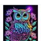 thumbnail image 3 of Painting Diary Book Owl Forma Especial 50 Páginas Pintura Diamantes para Adultos Estudiantes, 3 of 9