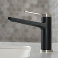 thumbnail image 3 of Indy Single Handle Bathroom Faucet in Spot Free Stainless Steel/Matte Black, 3 of 11