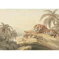 thumbnail image 2 of Samuel Howitt 14x11 Gold Ornate Wood Frame and Double Matted Museum Art Print Titled - A Tiger Resting (1805), 2 of 4