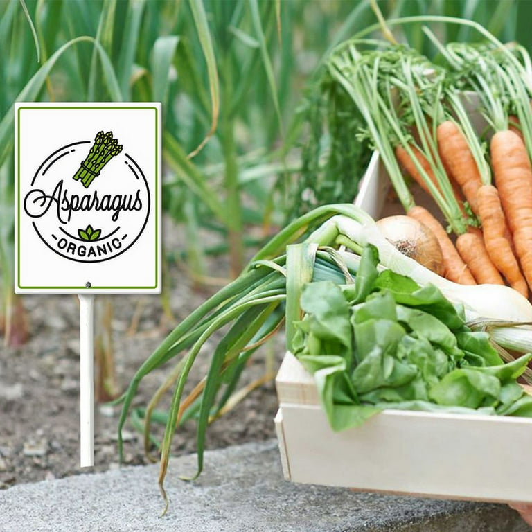 Eveokoki Vegetable Signs For Garden With Stake Asparagus Yard Sign
