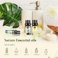 thumbnail image 6 of Hanolly Essential Oils Set, Hypoallergenic Aromatherapy Oils for Diffuser, Humidifier, Massage, Skin Care, 12 Pack, 5 ml, 6 of 9