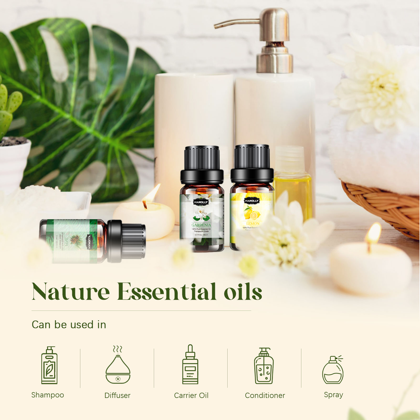 Hanolly Essential Oils Set 12-Pack photo 5