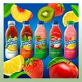 thumbnail image 4 of Snapple Apple All Natural Fruit Juice Drink, 16 fl oz Plastic Bottles, Made with Real Fruit Flavor, 16-Pack, 4 of 4