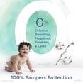 thumbnail image 4 of Pampers Couches à Protection Pure, 4 of 5