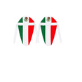 thumbnail image 1 of Pack de 2 Bandanas Tricolor Mexicanas para Aficionados – Accesorio para Partidos de Fútbol Xtellar multicolor, 1 of 3