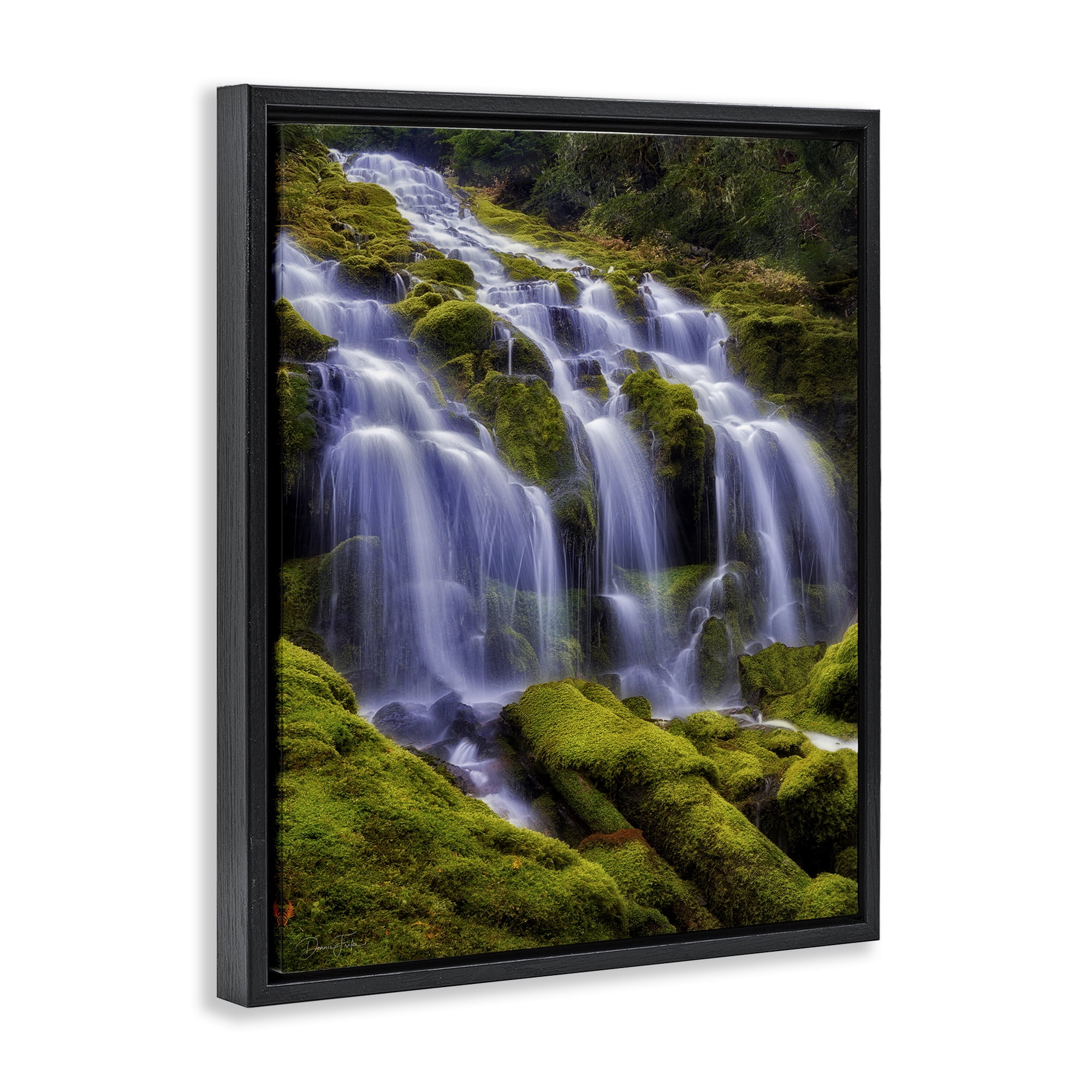 Stupell Industries Upper Proxy Falls Black Framed Floater Canvas Wall Art, design by Dennis Frates