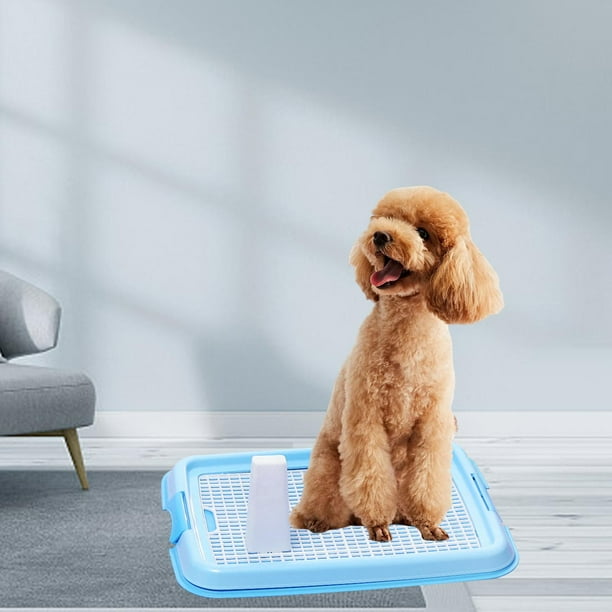 Dog wee tray hot sale