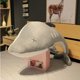 thumbnail image 2 of Cute Cartoon Dolphin Plush Toys Dolls Soft Stuffed Animal Pillow Kawaii Office Nap Pillow Kids Toy Christmas Gift for Girls zhangmengya LED, 2 of 2