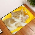 thumbnail image 4 of Cute pets Animal Pattern Anti Slip Suede Carpet Door Mat Outdoor Kitchen Living Room Floor Mat Carpet Home Decoration-week, 4 of 4
