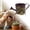 D, variant on Mini Metal Watering Can Decorative Rustic Garden Water Pot with Linen Bow for Indoor Outdoor and Home Decor