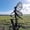 stand, variant on HELLOYOUNG Garden Fairy Alette Metal Outdoor Decor Large Yard Art Patio Lawn Decorative Stake Weatherproof Rustproof Flower Fairy Little Elf Sculpture Garden Statue