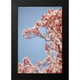 thumbnail image 2 of Millet, Karyn 13x18 Black Modern Framed Museum Art Print Titled - In Bloom VI, 2 of 5