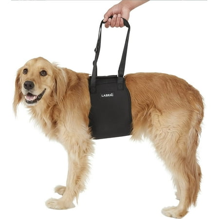 UPC: 0045923798610 | Labra Veterinarian Approved Dog Canine K9 Sling Lift Adjustable Straps Support Harness Helps with Loss of Stability Caused by Joint Injuries and Arthritis ACL Rehabilitation Rehab