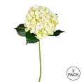 thumbnail image 2 of Vickerman 33'' Fabric Artificial Hydrangea Spray in Light Green (Set of 2), 2 of 3