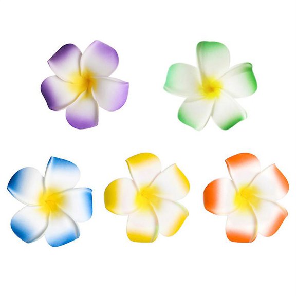 20pcs Hawaii Hairpin