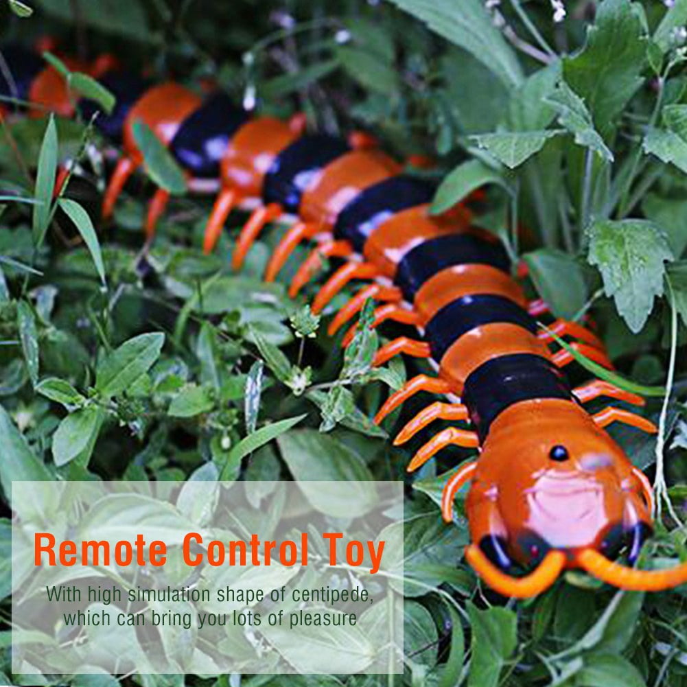 centipede toy remote