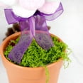 thumbnail image 4 of 8.66 Inch Easter Bunny Plush Soft Flower Pot Planter Decoration Bunny Table Decoration, Spring Holiday Party Centerpiece Tray Ornament Festive Gift for Indoor Outdoor Use, 4 of 12
