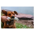 thumbnail image 2 of Classic Rawhide Dog Bones 6" to 7" All Natural No Preservatives Medium Breeds (2 Bones), 2 of 9