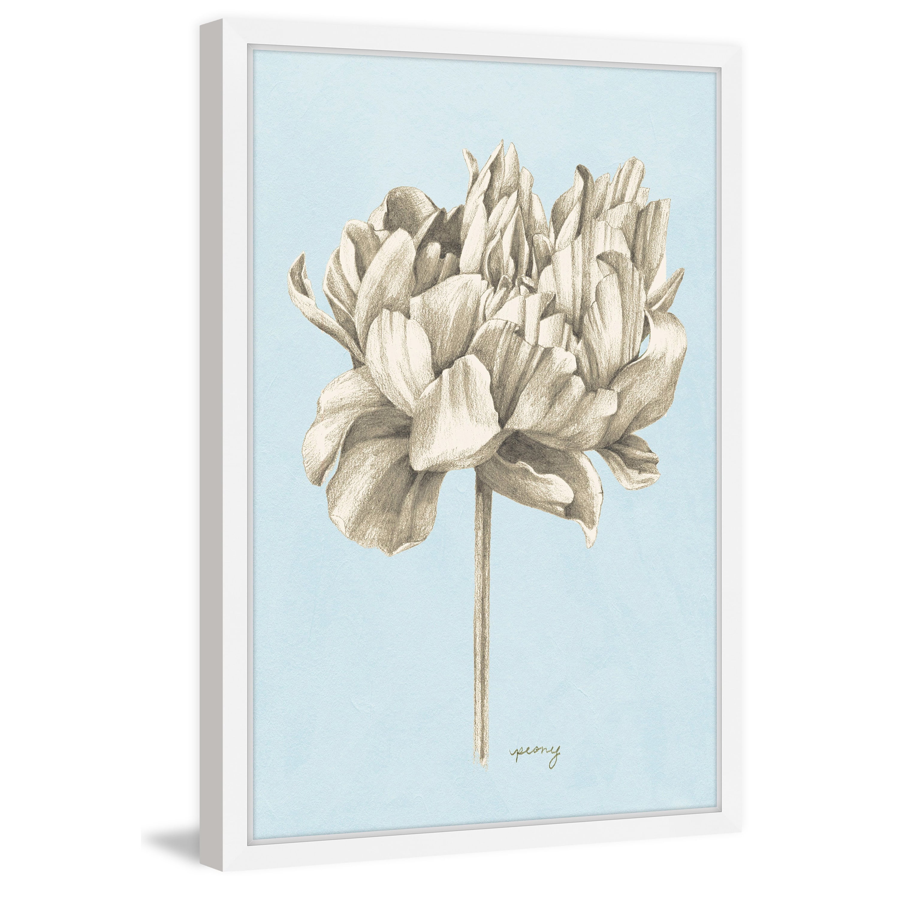 Marmont Hill Botanical Study IV Framed Wall Art