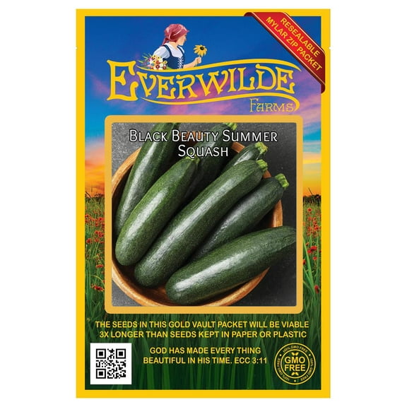 Everwilde Farms - 40 Black Beauty Summer Squash Seeds - Gold Vault Seed Packet
