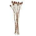 thumbnail image 1 of 10pcs Artificial Acorns Bouquets Lifelike Simulation Acorn Set DIY False Nuts, 1 of 8