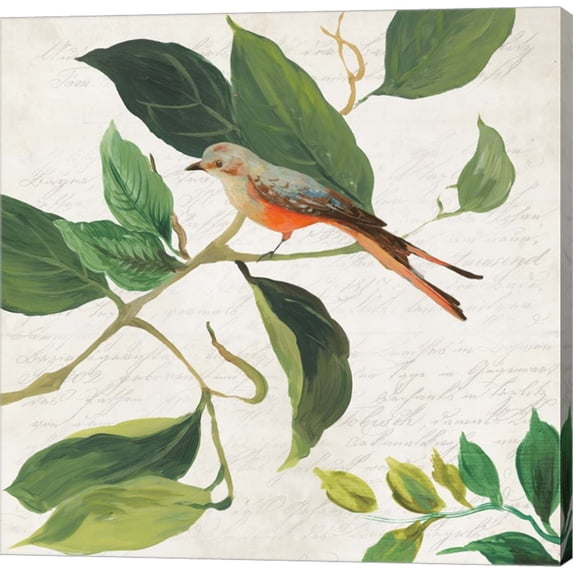 Singing Bird I by Asia Jensen, Canvas Wall Art