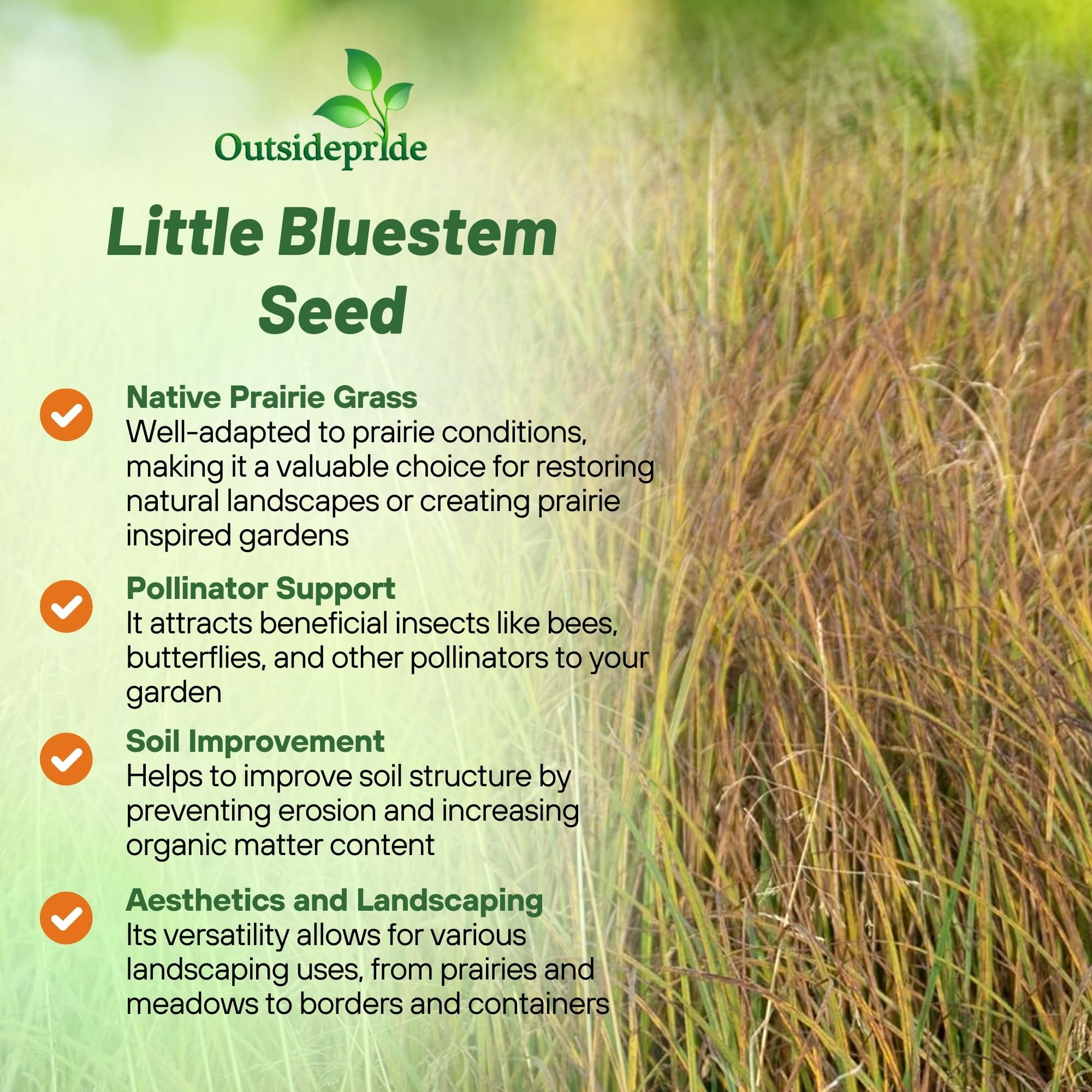 Outsidepride Little Bluestem Grass Seed - 1 LB