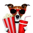 thumbnail image 1 of Design With Vinyl Artwork Dog Holding Soda & Popcorn Movie Going Wall Decal for Children - Crunchy, Salty and Buttery Treat Loved By All. Themed Décor - Size: 38 In x 38 In, 1 of 3