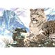 thumbnail image 1 of Pintura de diamante (DE5421) Leopardo de las nieves Cuadro de diamantes de imitación redondo completo Juego de bricolaje 40x30cm 30x40cm Hugtrwg Para estrenar, 1 of 1