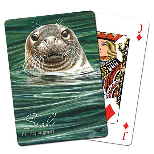 Sloth Tree-Free Greetings Deck of Playing Cards 2.5 x 0.8 x 3.5 