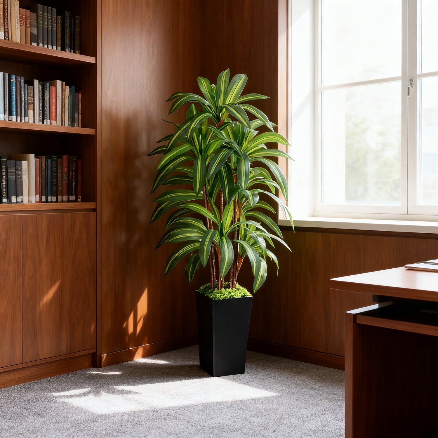 NOVAROOT Artificial Dracaena Tree 5FT, Faux Tree with Black Tall Planter, Fake Tropical Floor Plant, Artificial Silk Tree for Home Office Living Room Decor Indoor
