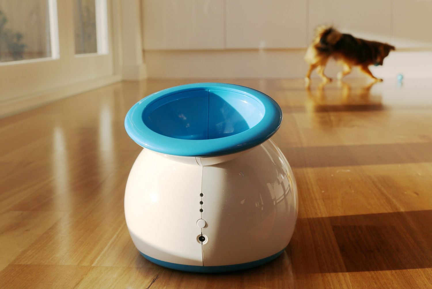 iFetch Lanceur de balle automatique pour chiens