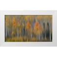 thumbnail image 1 of Austin 18x12 White Modern Wood Framed Museum Art Print Titled - Fall Impression #2, 1 of 4