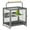 Black, variant on PawHut Bird Travel Carrier Cage for Parrots Conures with Stand Perch, Black