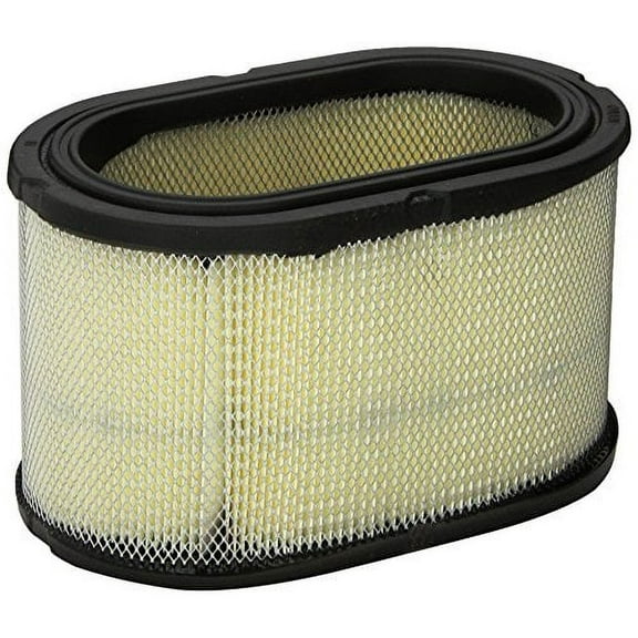 Cummins Onan 140-2897 Direct Replacement Quiet Diesel Engine Air Filter
