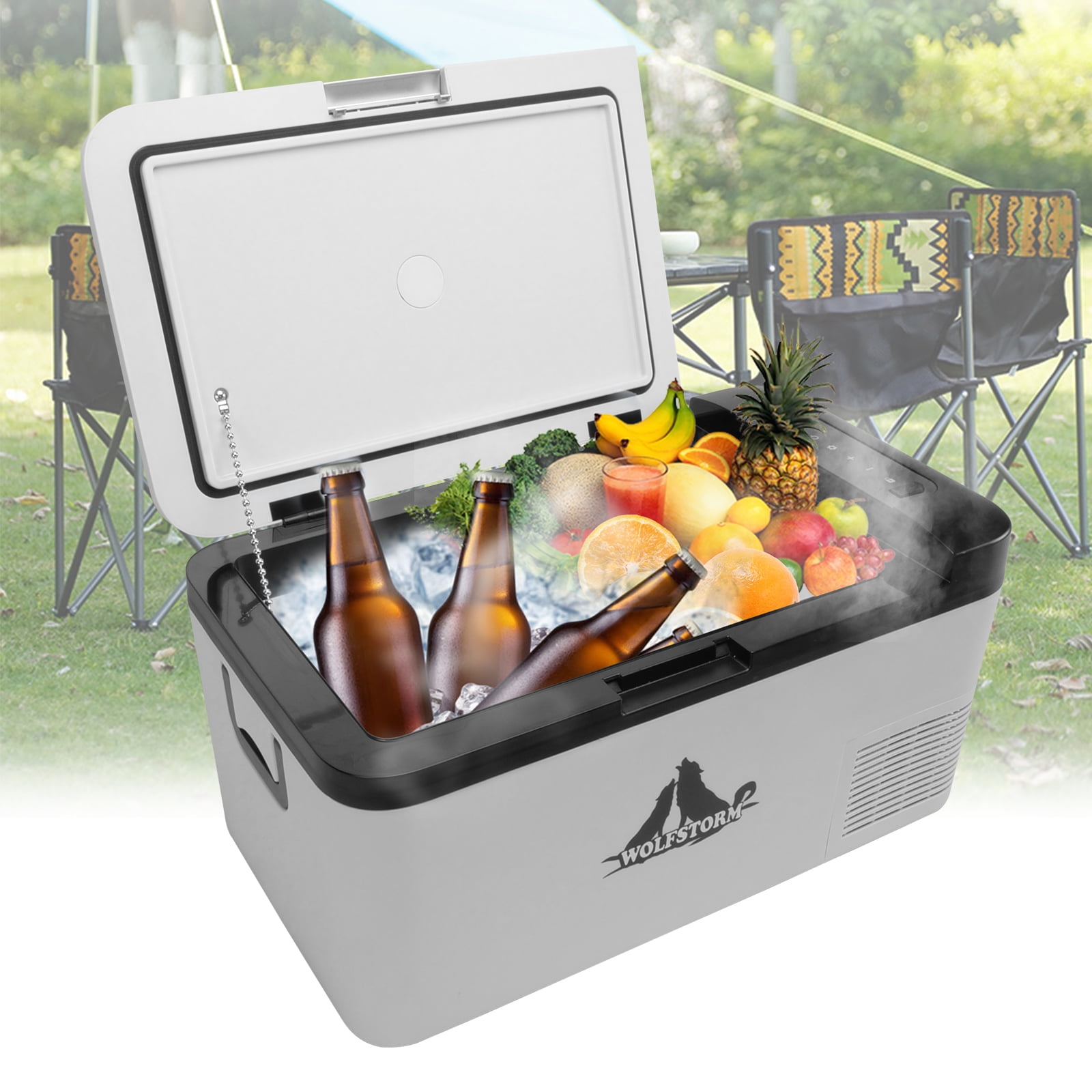 van 12v fridge