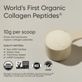 thumbnail image 3 of Sports Research® SR Organic Collagen Peptides Type I & III Protein from Grass-Fed Cows Unflavored (30 Servings), 3 of 8