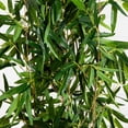 thumbnail image 3 of Nearly Natural 57" Real Touch Bamboo Artificial Tree (Indoor/Outdoor), 3 of 4