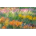 thumbnail image 2 of Jaynes Gallery 32x21 White Modern Wood Framed Museum Art Print Titled - France-Giverny Impression of flowers in Monets Garden, 2 of 4