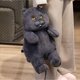 thumbnail image 3 of 30/45/60cm Lovely Chubby Plush British Shorthair Cat Toys Soft Animal relleno Cat Dolls Kids Sleeping Cushion Bonito regalo de cumpleaños, 3 of 5