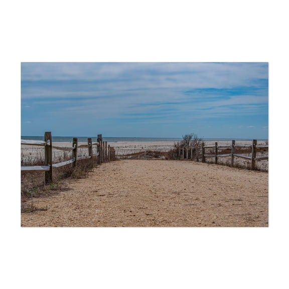 The Path to the Beach, Cape May New Jersey - Cape May Point New Jersey Photography Beach Coastal Seaside Nature Landscape Ocean Rustic Unframed Wall Art Print 4 x 6 inches