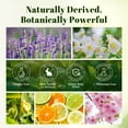 thumbnail image 4 of Aeshory Essential Oils Set for Diffuser, Aromatherapy, Humidifier, Massage, Candle Making - 5 ml/20 Pack, 4 of 7