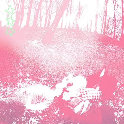 Shower Curtain - Words From A Wishing Well - Music & Performance - Vinyl