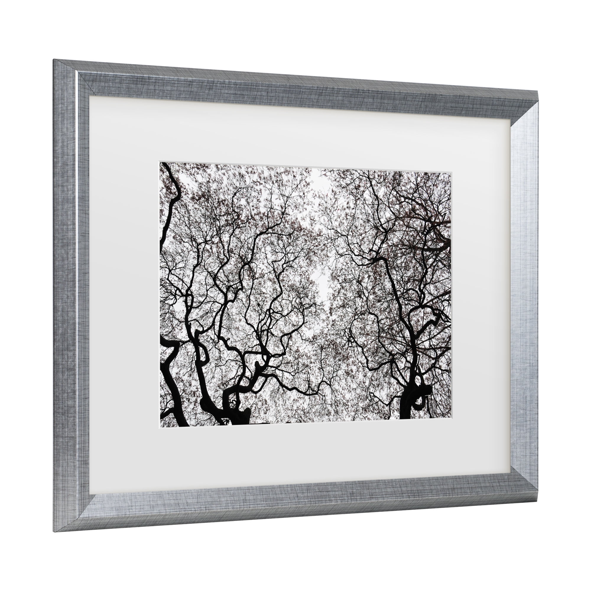 Trademark Fine Art 'Japanese Maple Spring Abstract' Canvas Art by Kurt Shaffer