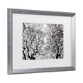 thumbnail image 2 of Trademark Fine Art 'Japanese Maple Spring Abstract' Canvas Art by Kurt Shaffer, 2 of 4