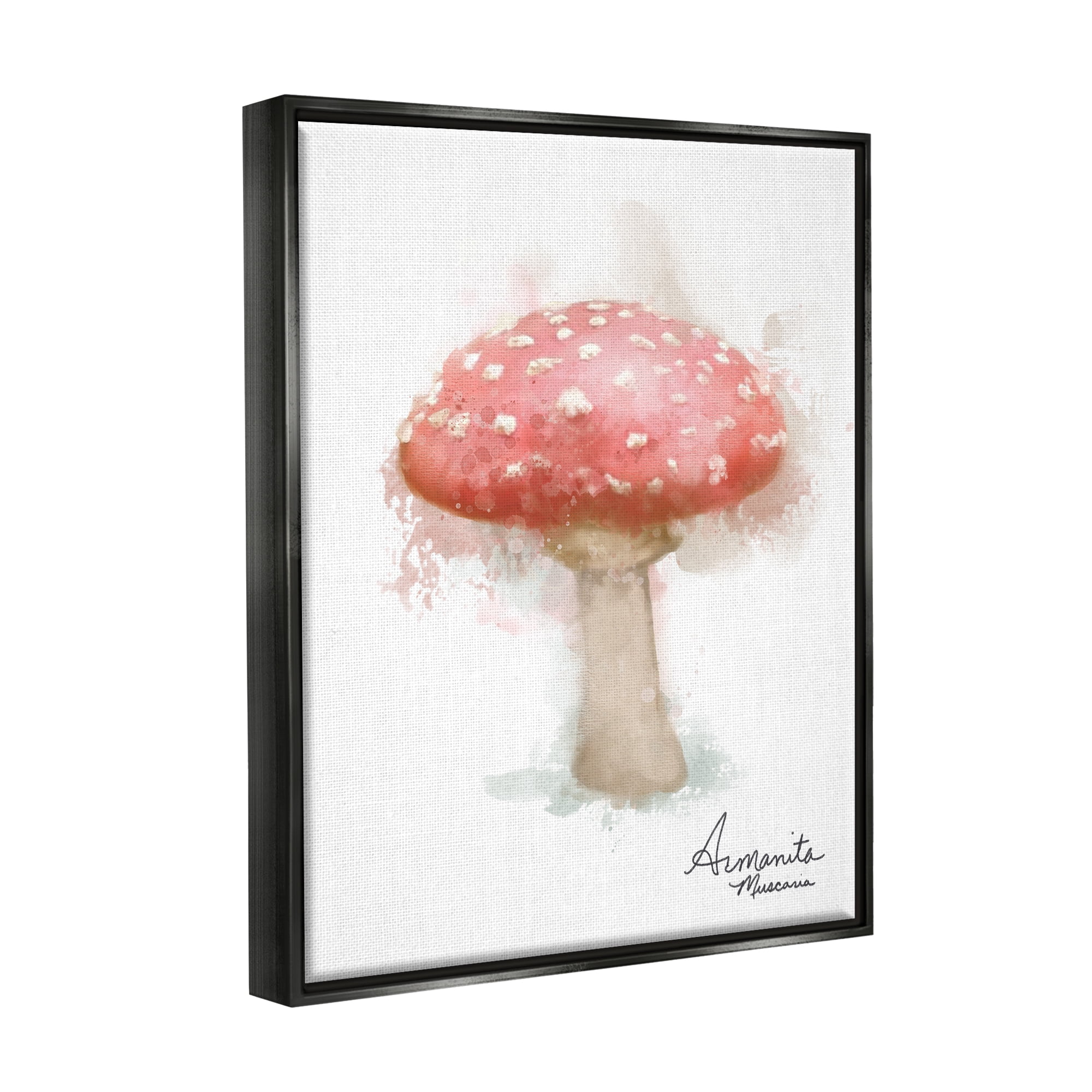 Stupell Industries Abstract Amanita Mushroom Botanical & Floral Painting Black Floater Framed Canvas Art Print Wall Art, 25 x 31
