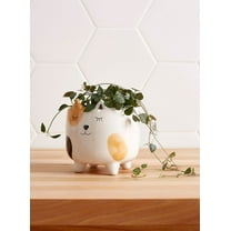 SparkDazzle 4" x 4" Spotted Cat White Ceramic Plant Planter