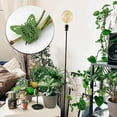 thumbnail image 1 of Soporte De Pared Para Plantas Trepadoras, Soportes Para Cables, Enrejado Duradero Para Jard N Exterior, F Cil Instalaci N Y Dise O Compacto, Jardiner a Dom Stica, Soporte De Crecimiento, 1 of 8