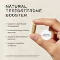Liquid Testosterone Supplement Lean Nutraceuticals Testosterone Booster MAX / Boost Stamina, Endurance ...