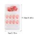 thumbnail image 3 of Qarigey Uñas postizas Perfect Matching Jelly Rubber Sin olor irritante Uña falsa Cobertura completa Paster ligero y transpirable Juegos de manicura tipo 12 F741, 3 of 6